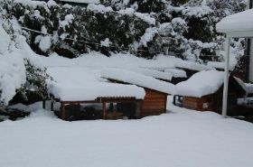 small_9358411